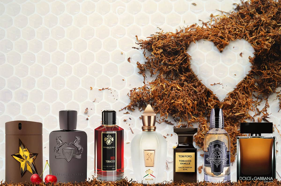 معرفی برترین عطر ها با رایحه تنباکو در پامیشا
