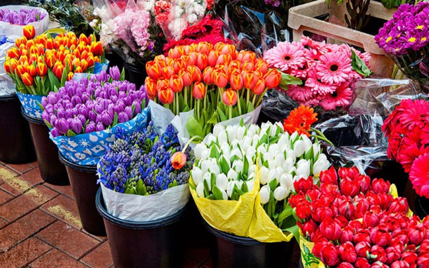 رایحه گل در عطرسازی و تاثیرات آن روی انسان در پامیشا