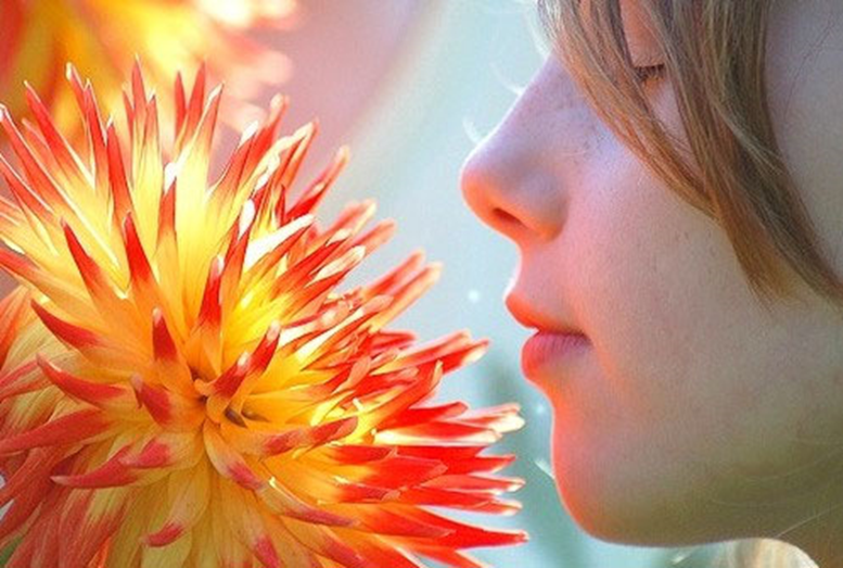 رایحه گل در عطرسازی و تاثیرات آن روی انسان در پامیشا