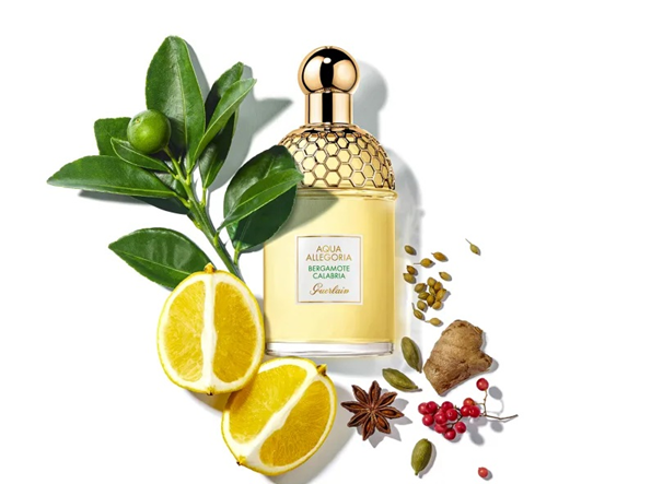 رایحه مرکبات و برترین عطرهای آن در پامیشا