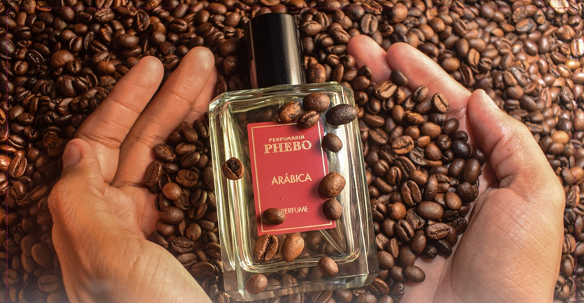 گورمند در عطرسازی در پامیشا