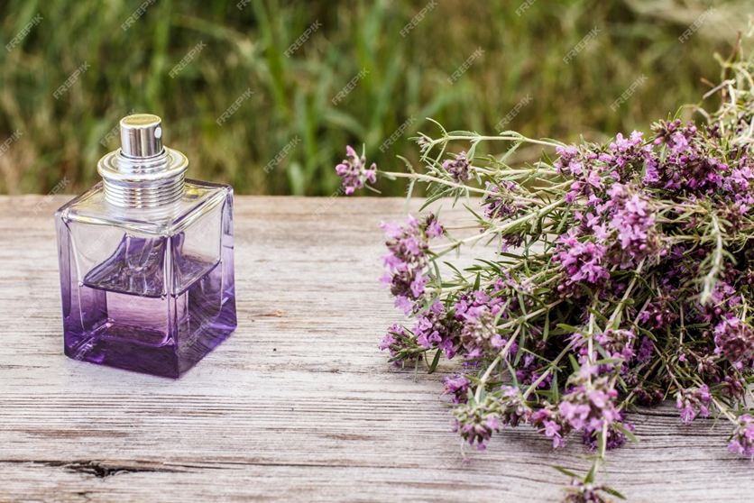 رایحه آویشن در عطر سازی و همه چیز در رابطه با آن در پامیشا