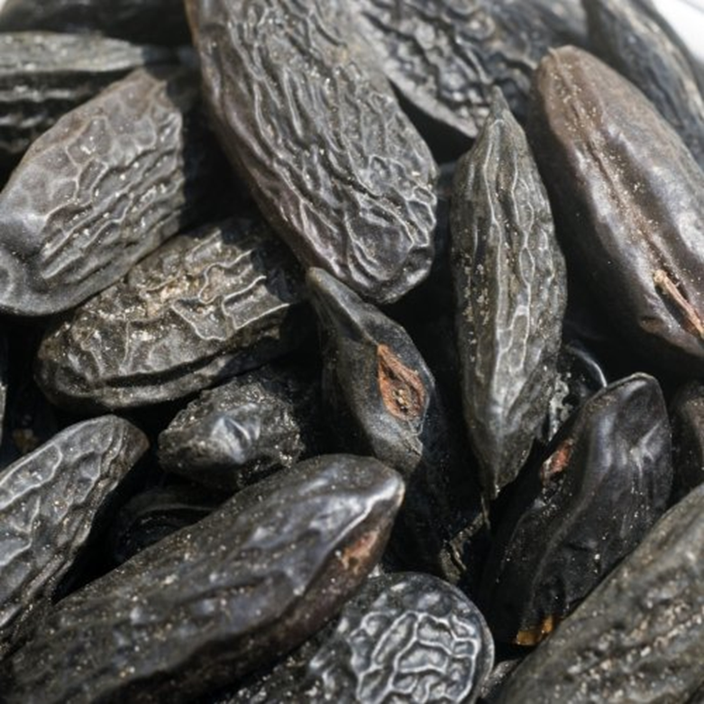 کومارین و استفاده از آن صنعت در عطرسازی در پامیشا