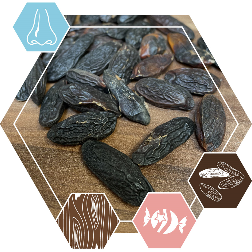 کومارین و استفاده از آن صنعت در عطرسازی در پامیشا