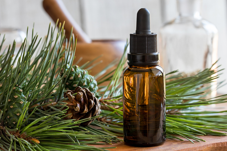 نگاهی به عطرها و رایحه های آرامش بخش در پامیشا