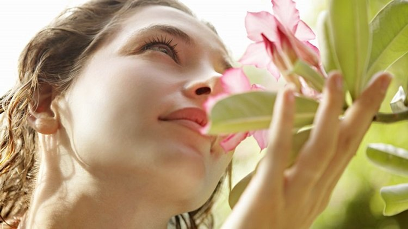 نگاهی به عطرها و رایحه های آرامش بخش در پامیشا