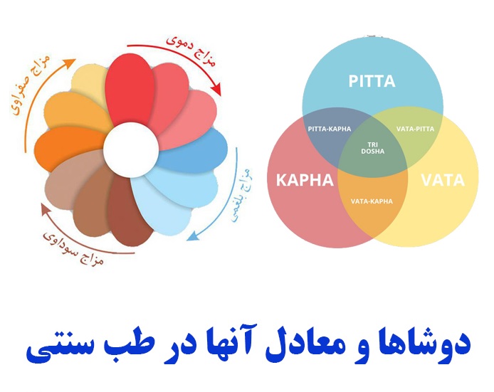 آیودا درپامیشا