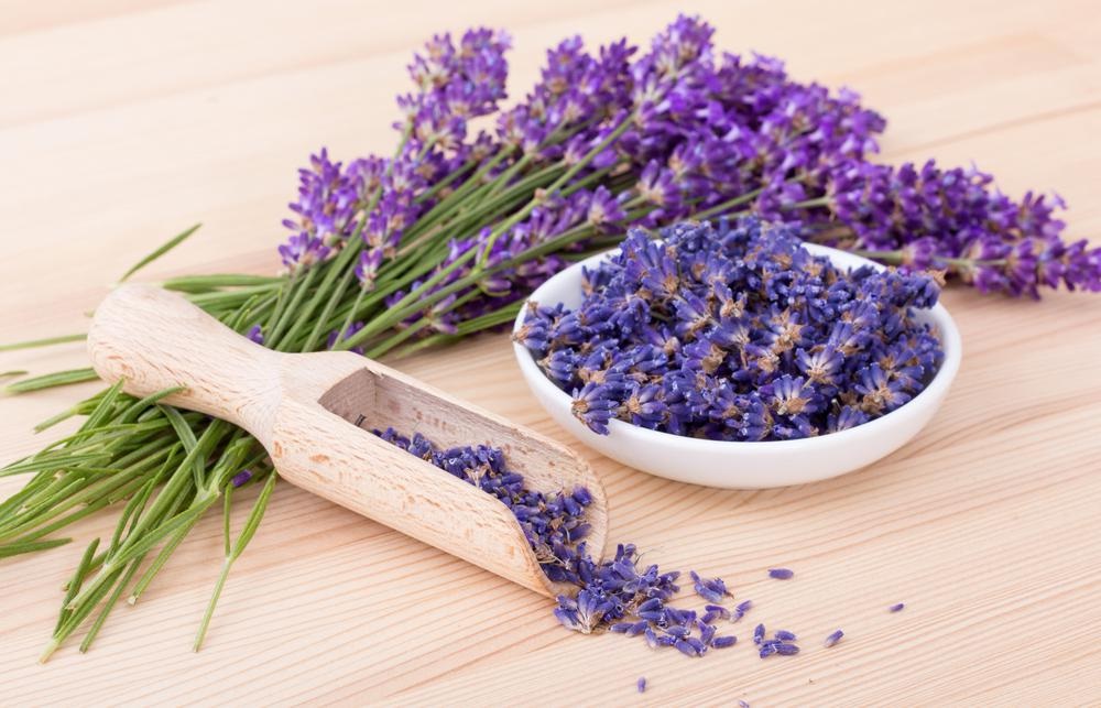 روش های طبیعی برای درمان گیاهی گلودرد در پامیشا
