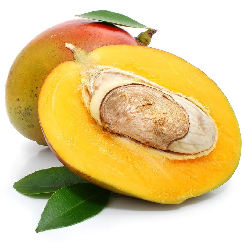 خواص روغن هسته انبه 
