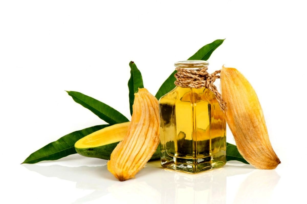 خواص روغن هسته انبه در پامیشا