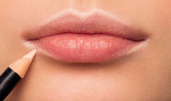 خط لب : انواع و استفادههای آن در پامیشا