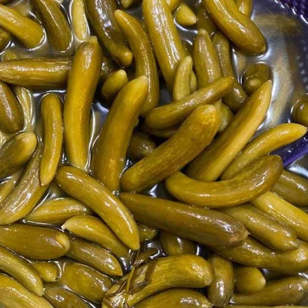 خیار شور در پامیشا