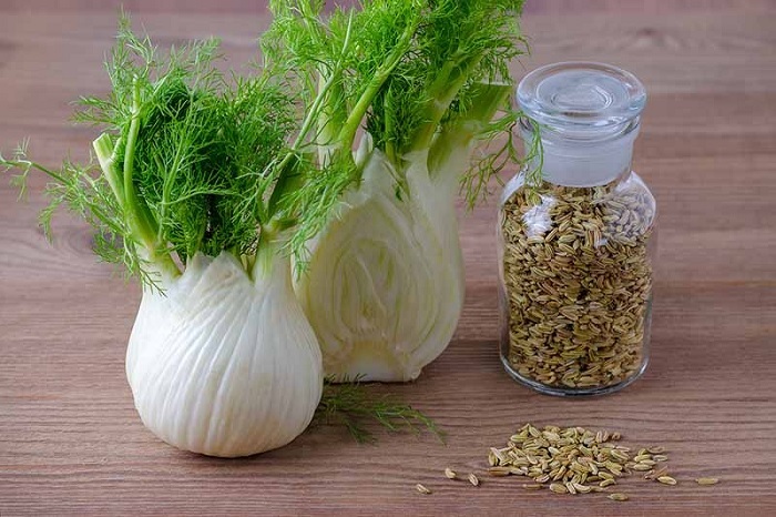 رازیانه در پامیشا