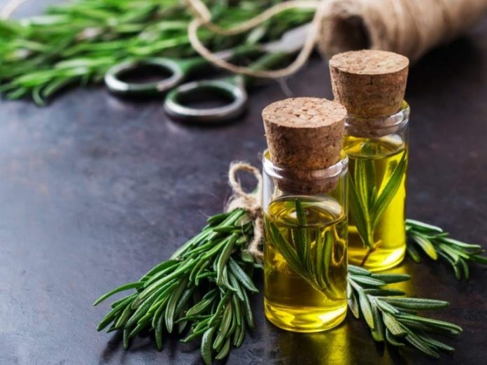 آشنایی با خواص بی نظیر و گسترده رزماری
رزماری گیاهی است که عمدتاً در منطقه مدیترانه می روید و از گیاهان بومی این منطقه است. گل ها در رنگ های مختلف، گل های سفید، بنفش، صورتی و آبی در بهار و تابستان هستند.
در شرایط عادی ارتفاع گیاه به 20 تا 50 سانتی متر می رسد اما در صورت قرار گرفتن در شرایط آب و هوایی مناسب ارتفاع آن به 150 سانتی متر می رسد که شرایط ایده آل این گیاه در هوای گرم و مرطوب است.
این گیاه خواص دارویی زیادی دارد و می توان از آن به طرق مختلف استفاده کرد.
- ضد عفونی کننده
- ضد درد
- ضد تورم
- ضد افسردگی
- آنتی ویروس
- افزایش قدرت جنسی
- خلط آور
- ب هبود حافظه
- تقویت گردش خون
- تسکین اضطراب و ناراحتی
.
استفاده از پودر خشک گیاه رزماری در غذا به تسکین درد، بهبود آرامش جسمی و روحی کمک می کند و به ریه ها و سیستم تنفسی کمک می کند، اما توجه داشته باشید که رزماری باید هنگام خوردن غذا به آن اضافه شود، زیرا دمای بالا باعث می شود این گیاه برخی از خواص خود را از دست بدهد.
استفاده از آن در غذاها به دلیل خواص ضد التهابی، ضد سرطانی و آنتی اکسیدانی، سیستم ایمنی بدن را تقویت می کند و با عفونت ها مبارزه می کند. به طور کلی ادویه خوبی برای فصل سرد است که از سرماخوردگی و بیماریهای تنفسی ویروسی جلوگیری می کند.
کبد چرب یکی از چالش هایی است که بسیاری از ما ایرانی ها به دلیل سوء تغذیه با آن مواجه هستیم. اما اگر از رزماری خشک در غذا استفاده کنید، کبدتان سالم می شود. تاج گل کوهی راه را برای محافظت آنتی اکسیدانی برای محافظت از کبد با کمک به هضم چربی هموار می کند.
در زمان های قدیم، رزماری را برای از بین بردن آلودگی ها و انرژی های منفی می سوزاندند.
روغن رزماری
برای تسکین درد و التهاب می توانید از روغن رزماری نیز استفاده کنید. بنابراین استفاده از روغن رزماری باعث راحتی گردش خون، گرمی و حرارت موضعی می شود و درد و التهاب را تسکین می دهد.
در کشورهای پیشرفته از روغن و پماد رزماری برای درمان آرتریت روماتوئید استفاده می شود. روغن رزماری خاصیت ضد عفونی کنندگی دارد و برای رفع بوی بد استفاده می شود. قرار دادن چند قطره از آن در بینی می تواند برای افرادی که در شب سکته کرده اند بسیار مفید باشد. علاوه بر این، این روغن خاصیت ضد باکتریایی دارد و می توان از آن برای از بین بردن بوی نامطبوع ناشی از تعریق استفاده کرد.
برای رهایی از سردرد بدون استفاده از قرص یا دارو، این عرق را بو کنید یا چند قطره در بینی بریزید. امروزه از روغن رزماری در ادکلن ها، بادی میست و خوشبو کننده های هوا نیز استفاده می شود. صنایع و کارخانجات نیز از این گیاه در ساخت شامپو و محصولات شوینده استفاده می کنند.