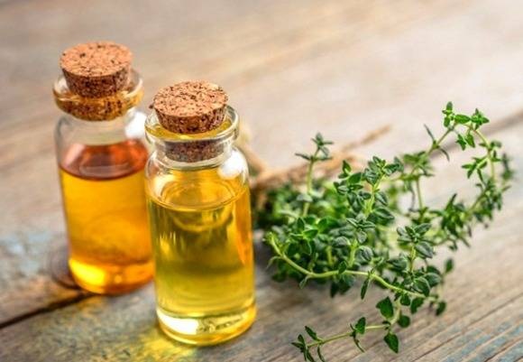 آشنایی با انواع داروهای گیاهی ضد انگلی در پامیشا