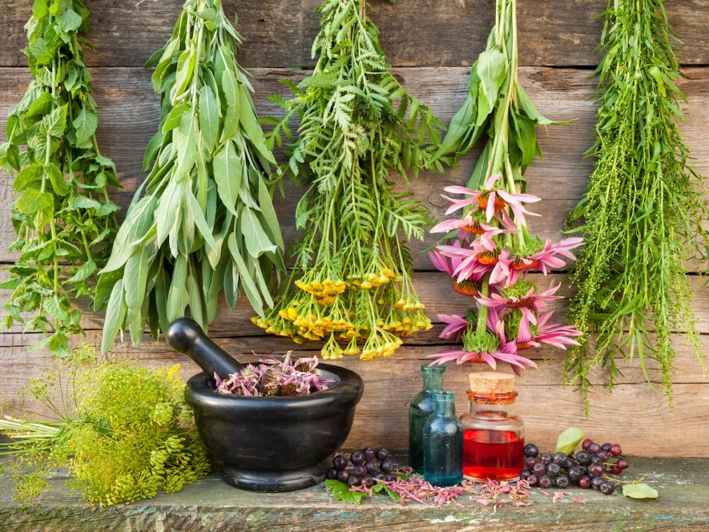 گیاهان و ادویه هایی که بیشتر از بدن شما مراقبت می کنند در پامیشا