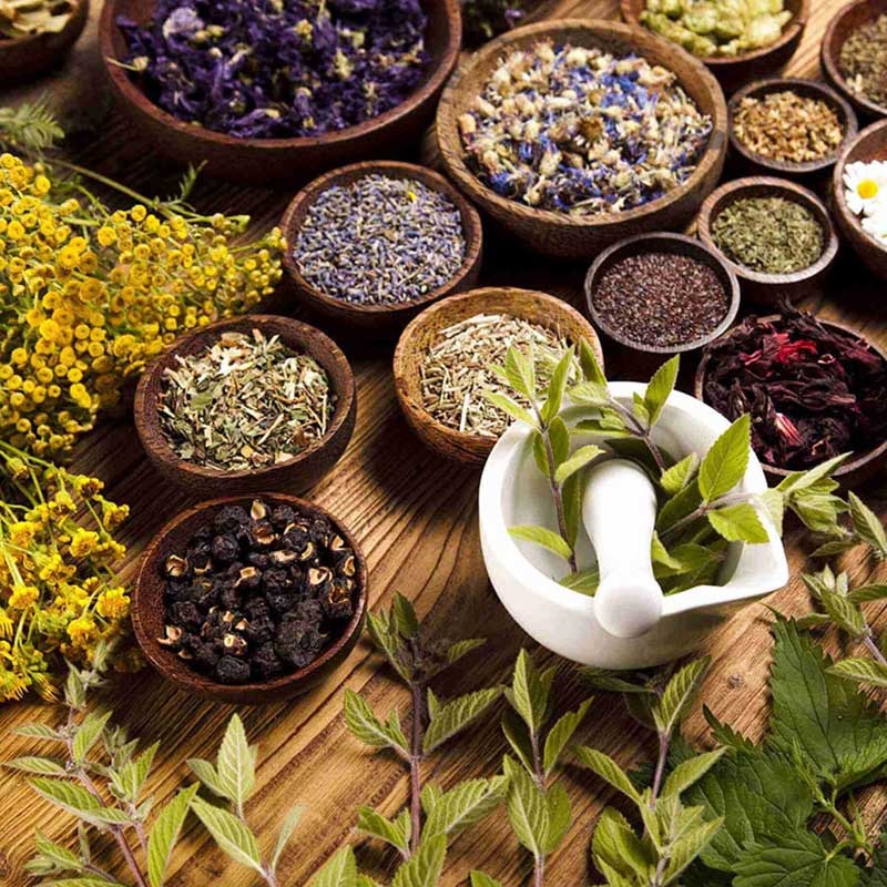 آشنایی با گیاهان ضد میکروب در پامیشا