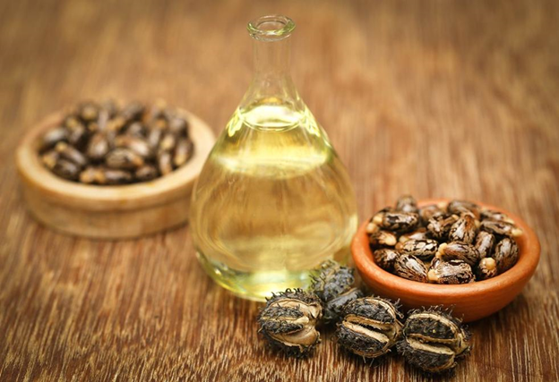 روغن کرچک و مهمترین خواص آن در مراقبت از پوست و مو در پامیشا