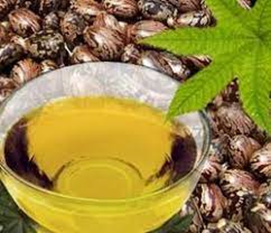 روغن کرچک و مهمترین خواص آن در مراقبت از پوست و مو در پامیشا