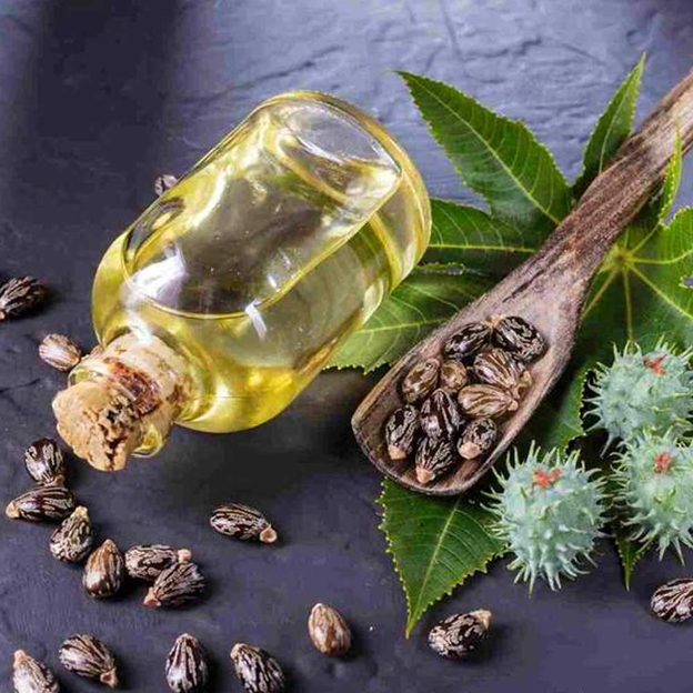 روغن کرچک و مهمترین خواص آن در مراقبت از پوست و مو در پامیشا