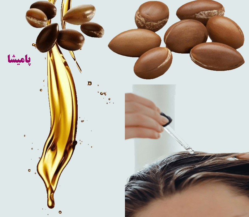 alt="روغن ارگان و خواص آن برای پوست و مو | پامیشا - آشنایی با ۱۰ خاصیت مهم روغن ارگان در زیبایی طبیعی مو و پوست"
