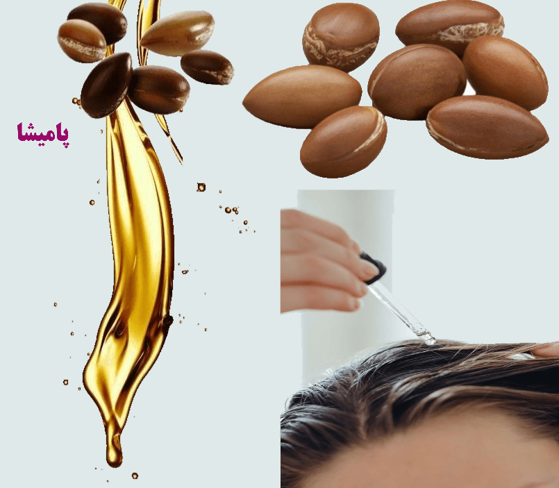 alt="روغن ارگان و خواص آن برای پوست و مو | پامیشا - آشنایی با ۱۰ خاصیت مهم روغن ارگان در زیبایی طبیعی مو و پوست"