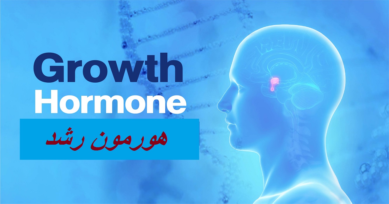 راه‌های مطمئن افزایش هورمون رشد و معکوس کردن سن! در پامیشا