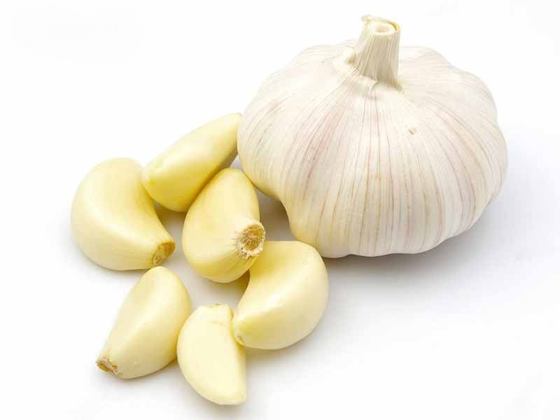 خواص شگفت انگیز سیر در پامیشا