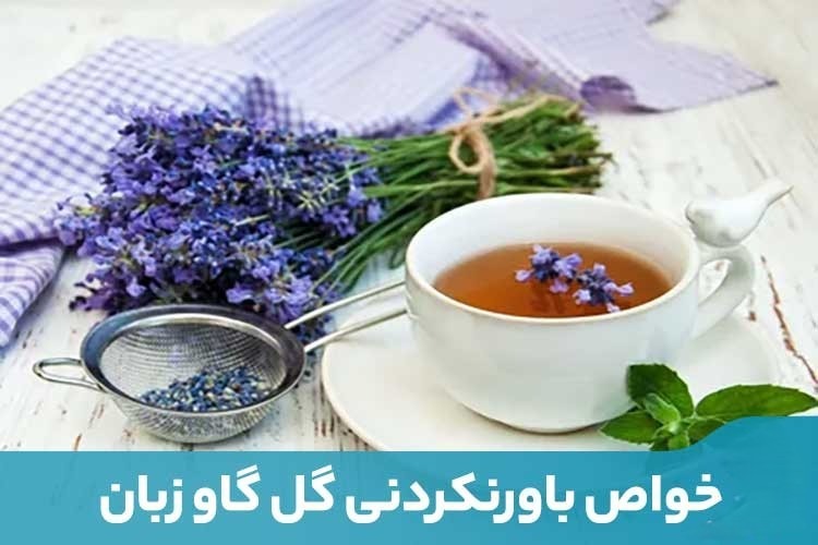 خواص و فواید گل گاوزبان در پامیشا