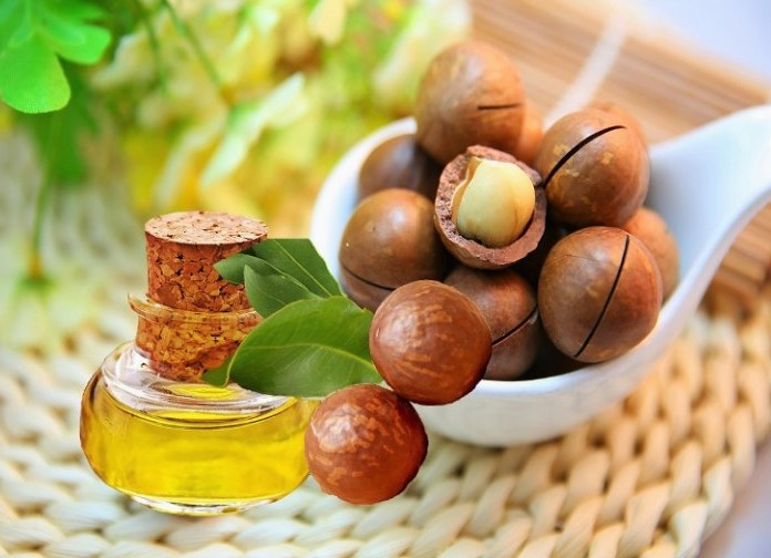ماکادامیا یا فندق استرالیایی در پامیشا
