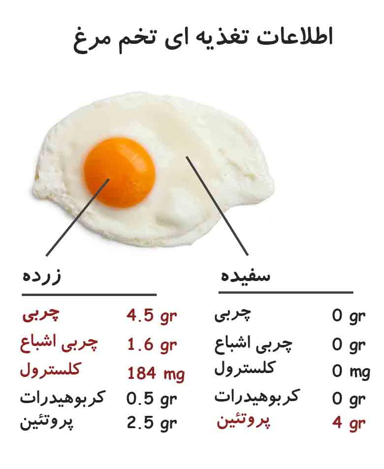 اشتهای کاذب چیست و چگونه می توان آن را شکست داد؟ در پامیشا