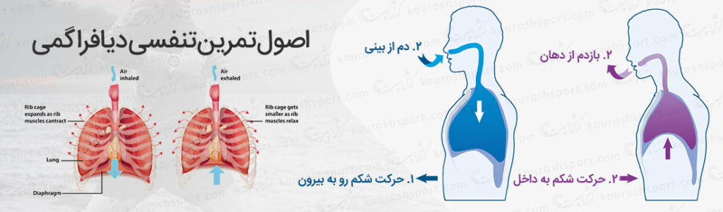 افزایش حجم ریه با تمرینات تنفسی در پامیشا