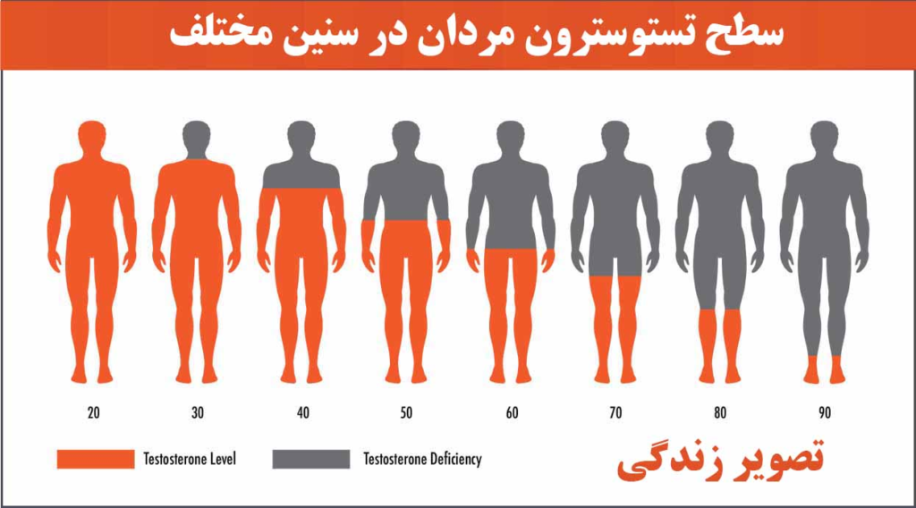 عوامل افزایش تستوسترون در پامیشا