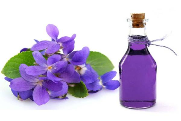 خواص و فواید گل گاوزبان در پامیشا