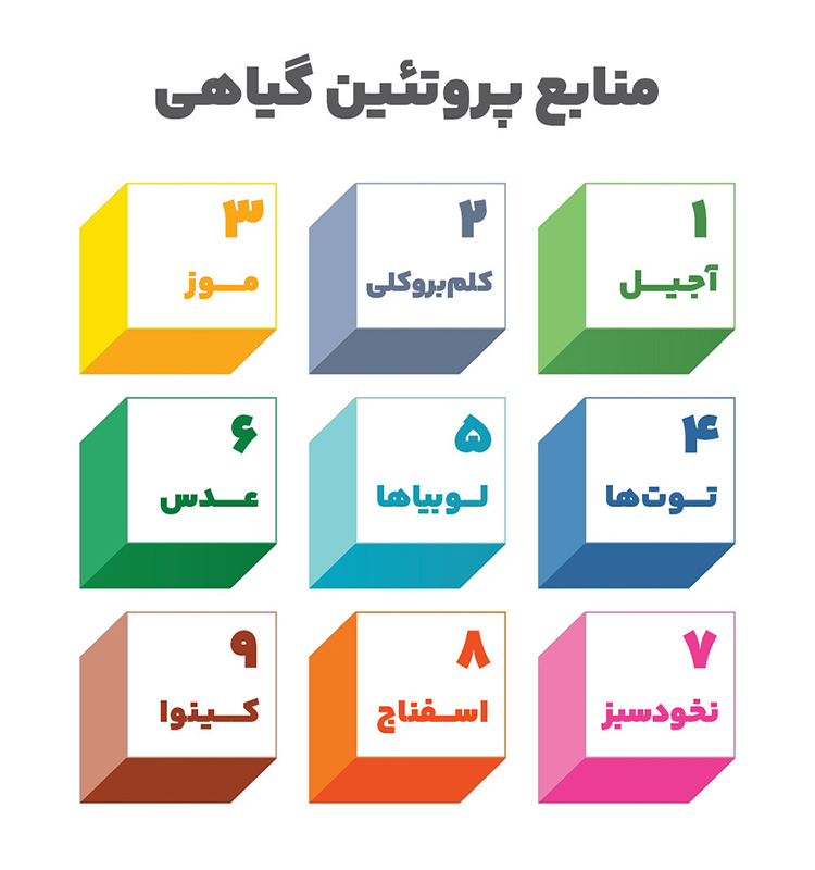 ساخت عضلات فوق العاده با منابع پروتئین گیاهی در پامیشا