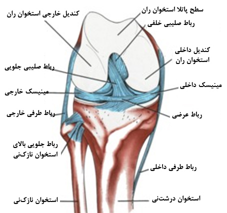 چگونه آسیب مینیسک زانو را درمان کنیم؟ در پامیشا