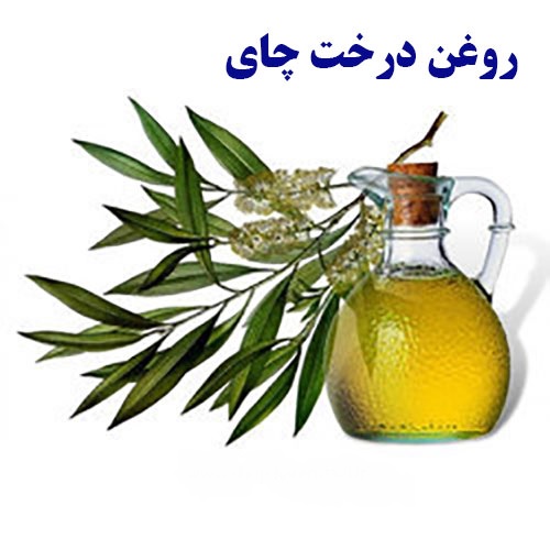 معرفی مناسبترین روغن گیاهی برای پوست شما در پامیشا