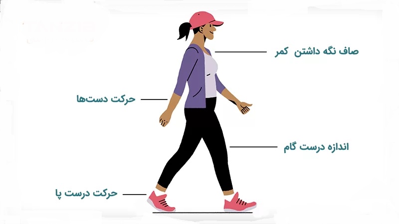 روش صحیح پیاده روی و معرفی نکات اصولی پیاده روی مناسب در پامیشا