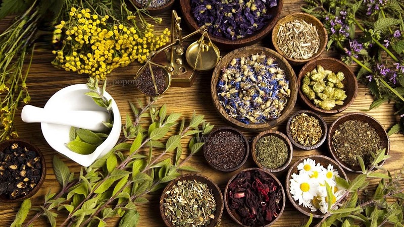 توصیه های بهداشتی برای کاهش علائم سرماخوردگی و درمان سریع آن در پامیشا