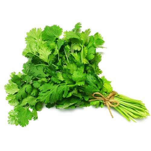 معرفی گشنیز و بررسی خواص درمانی آن و تخم گشنیز در پامیشا