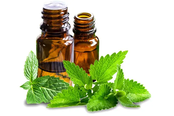 معرفی مناسبترین روغن گیاهی برای پوست شما در پامیشا