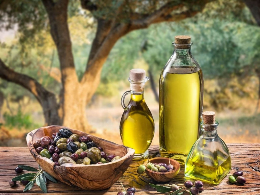 دانستنی های کاربردی در مورد انواع روغن زیتون در پامیشا
