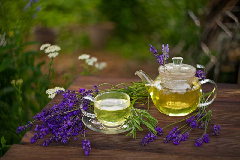 لاغری با استفاده از دمنوش های گیاهی در پامیشا