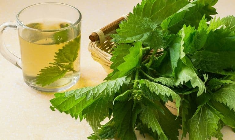 لاغری با استفاده از دمنوش های گیاهی در پامیشا