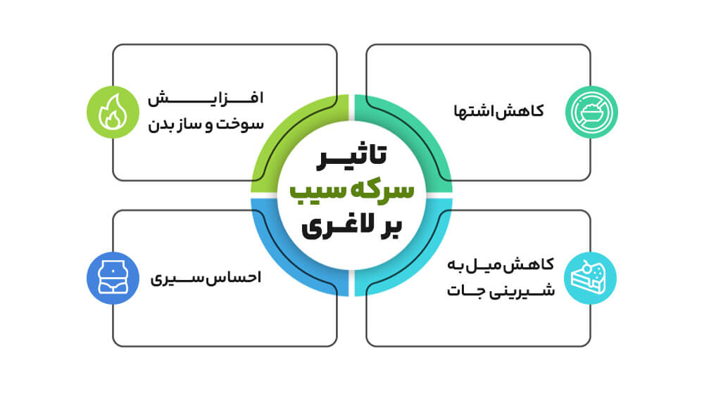 معرفی سرکه سیب و بررسی تأثیر آن بر سلامتی در پامیشا