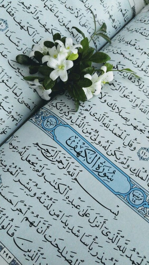 نقش و تاثیر قرآن کریم در زندگی انسان در پامیشا