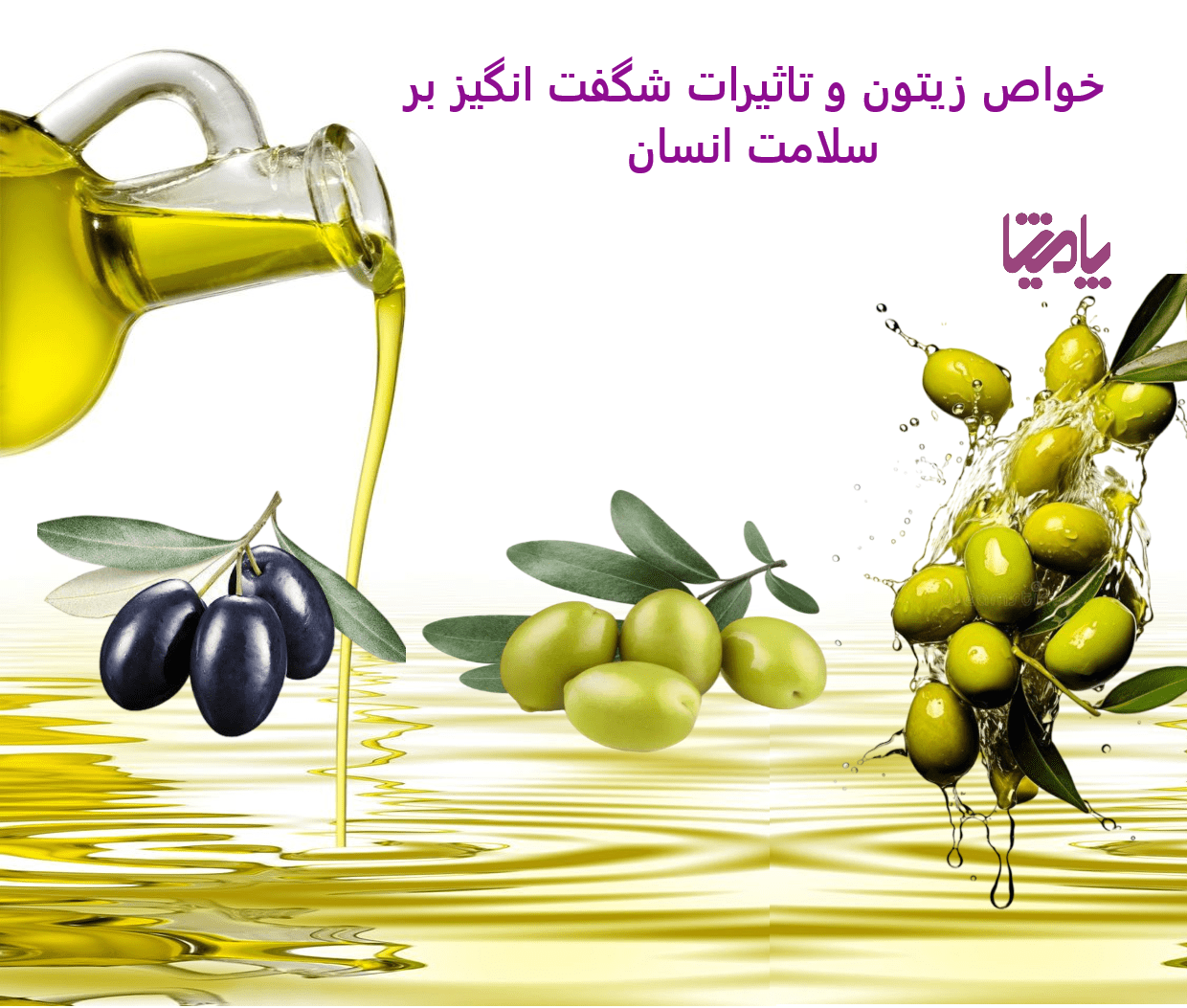 خواص زیتون و تأثیرات شگفت‌انگیز آن بر سلامت انسان | فواید مصرف زیتون طبیعی، اثرات ضد التهابی، سلامت قلب، کبد و پوست، منبع آنتی‌اکسیدان و مواد معدنی ضروری
