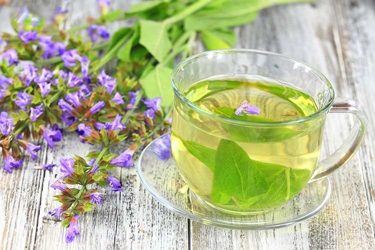 لاغری با استفاده از دمنوش های گیاهی در پامیشا