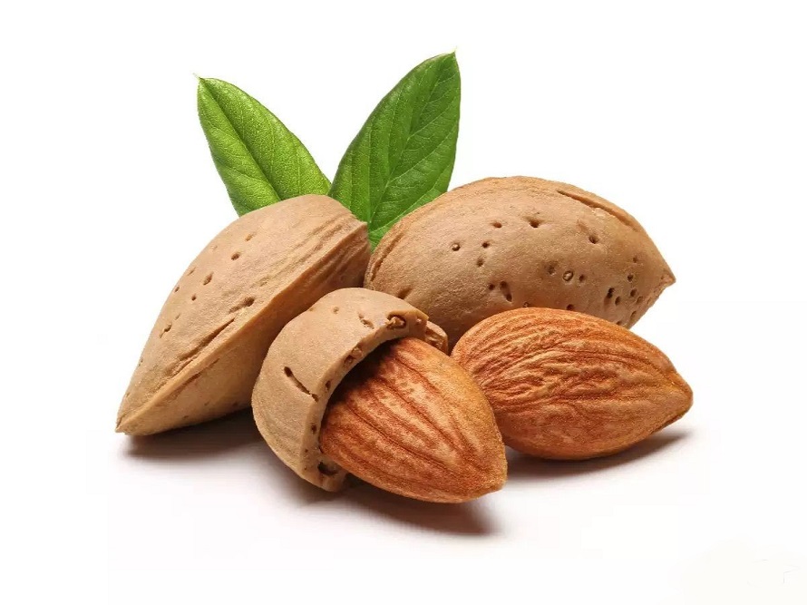 بادام درختی و خواص بینظیر آن در پامیشا