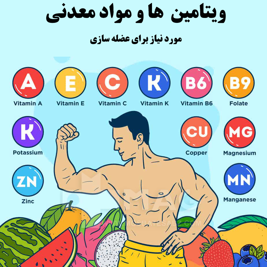 ویتامین ها و مواد معدنی مورد نیاز ورزشکاران در پامیشا